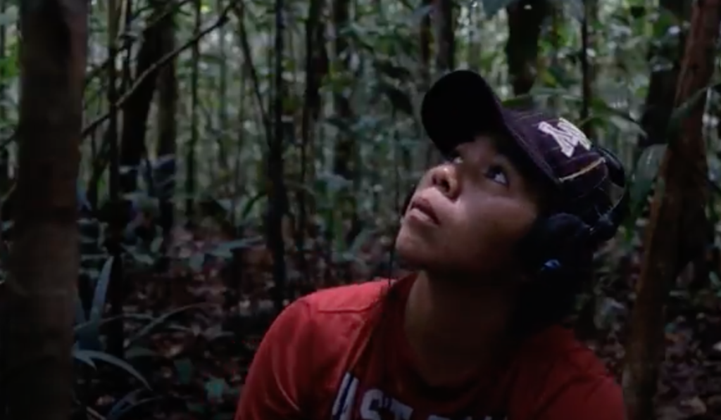 Curupira, où es-tu?